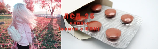 прущие крисы Балахна