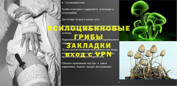 кокс Баксан