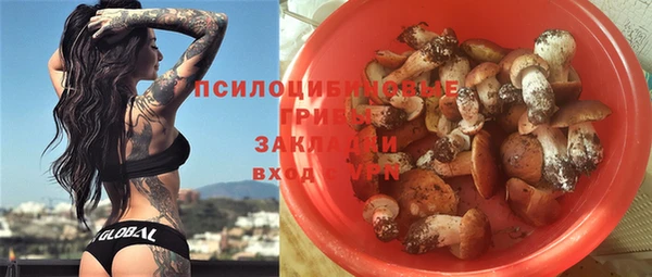 кокс Баксан